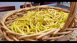 Three Ways to Preserve Yellow Wax Beans [upl. by Neelik]