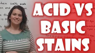 Acidic vs Basic Stains in Microbiology [upl. by Eseerehc]