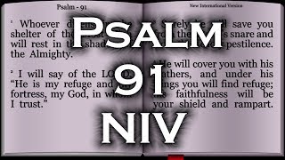 Psalm 91  New International Version NIV [upl. by Onifur]