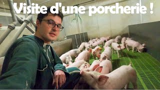 Visite de la porcherie  Suivezmoi  🐷😉 [upl. by Jacobs]