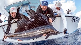 Kite Fishing for Sailfish and other Species  4K [upl. by Eiten]