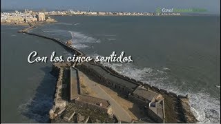 Con los cinco sentidos Cádiz [upl. by Klemperer868]