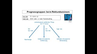 Prognosegruppen beim Rektumkarzinom  Strahlentherapie Prof Hilke Vorwerk [upl. by Torosian]