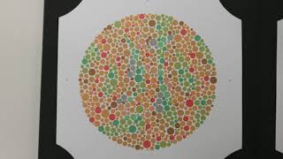 Video 6 The Ishihara Test for Colour Vision [upl. by Ennaeel311]