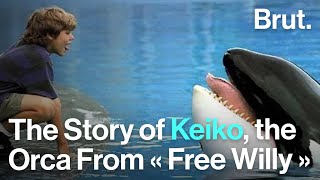 The Story of Keiko [upl. by Azarria]