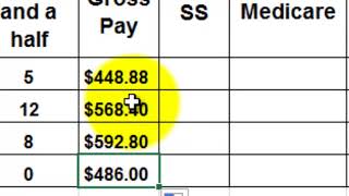 Payroll in Excel [upl. by Edyaj189]