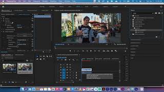 Remove Camera Shake in 2 Minutes  Warp Stabilizer Fast Analysis  Premiere Pro [upl. by Barbara-Anne824]