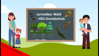 Lernvideo Wald  Nadelbäume🌲  HSU Grundschule [upl. by Nrehtac]