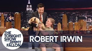 Jimmy Gets Attacked by Robert Irwins Anteater [upl. by Aevin]