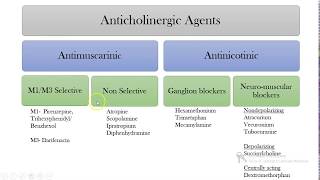 PARASYMPATHOLYTICSAnticholinergicsAntimuscarinic drugs [upl. by Bourne]