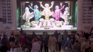 ISKCON Mayapur  MayapurTV Live Stream [upl. by Entsirhc358]